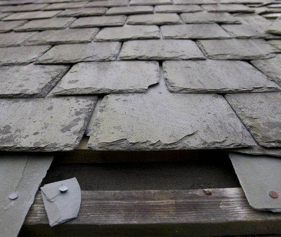Storm Damage Claims, Paul Greene and Co.