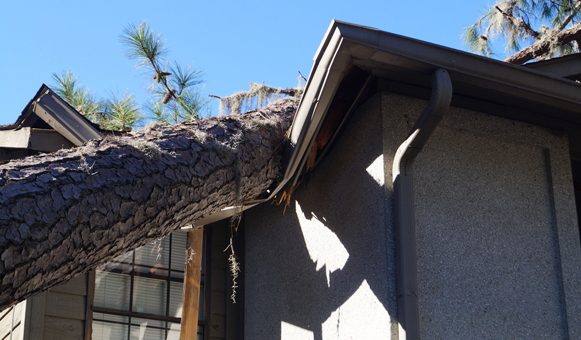 Storm Damage Claims, Paul Greene and Co.
